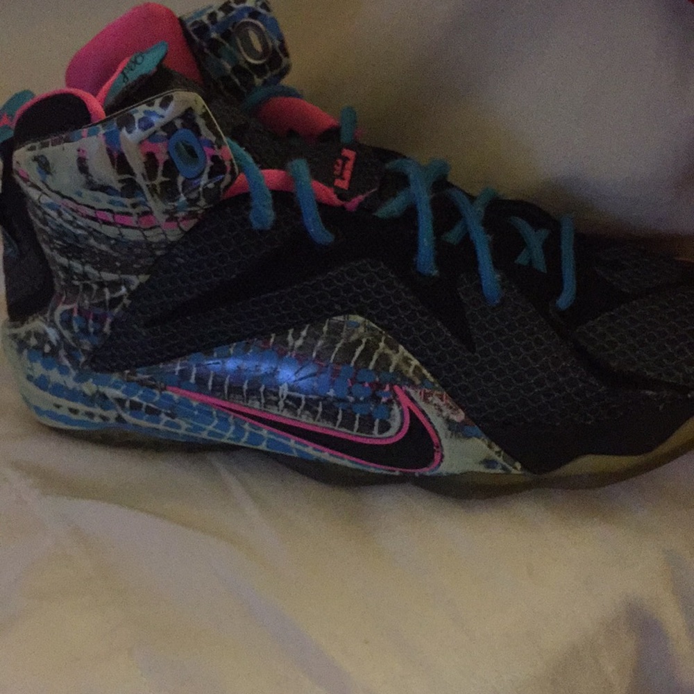 LeBron 12